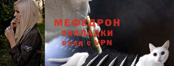 шишки Верея